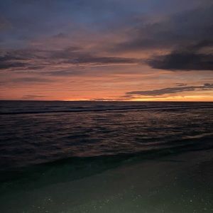 Meet your Posher, Addie